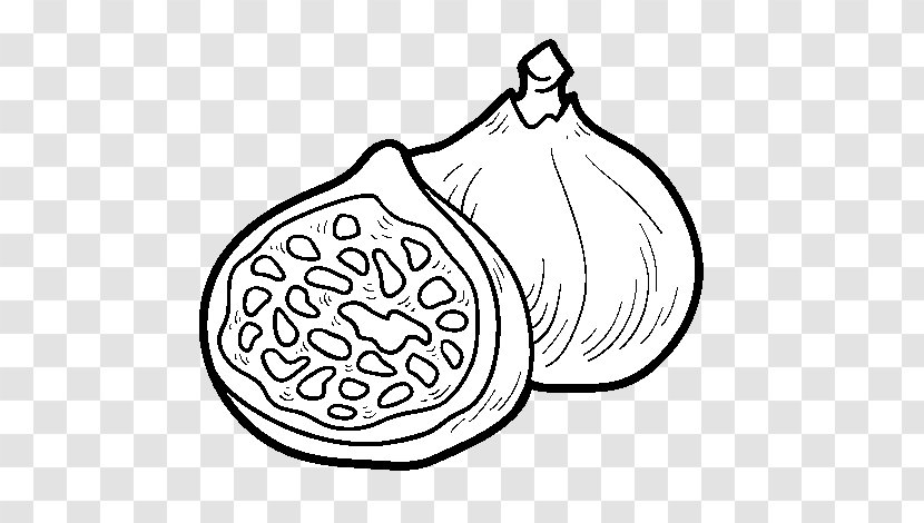 Drawing Coloring Book Common Fig Food Painting - Tree - Figue De Barbarie Transparent PNG