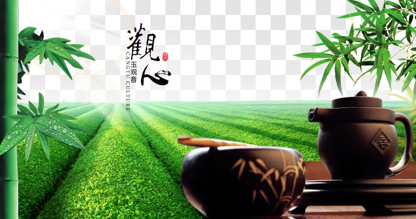 Green Tea Tieguanyin The Classic Of Advertising - Grass - Bamboo Poster Material Transparent PNG