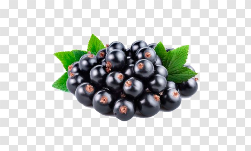 Blackcurrant Redcurrant Fruit Gelatin Dessert Squash - Seed Oil - Blueberry Transparent PNG