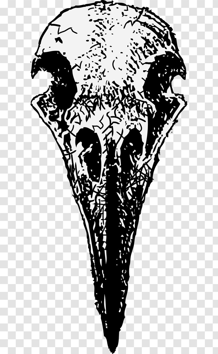 Drawing Death Funeral Home Skull - Monochrome - Satanic Transparent PNG