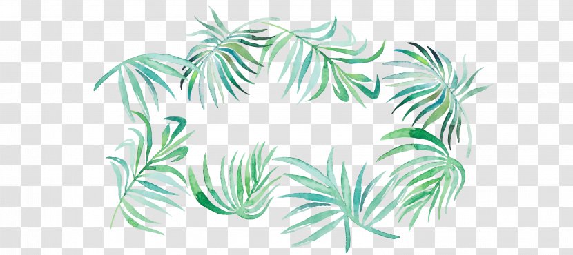 Coconut Plant Stem Leaf Flower - Organism - Leave Transparent PNG