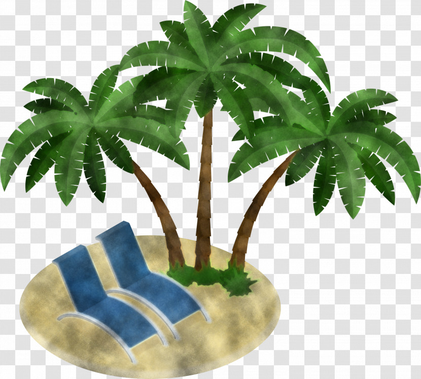 Palm Tree Transparent PNG