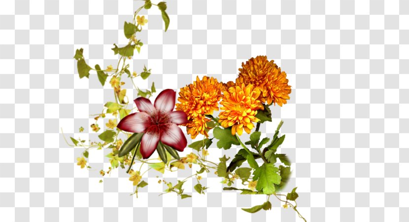 Floral Design Cut Flowers Saint - Chrysanthemum - Tampon Amour Transparent PNG