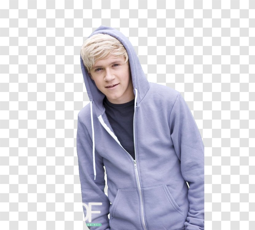 Niall Horan One Direction Musician The BRIT Awards - Flower Transparent PNG