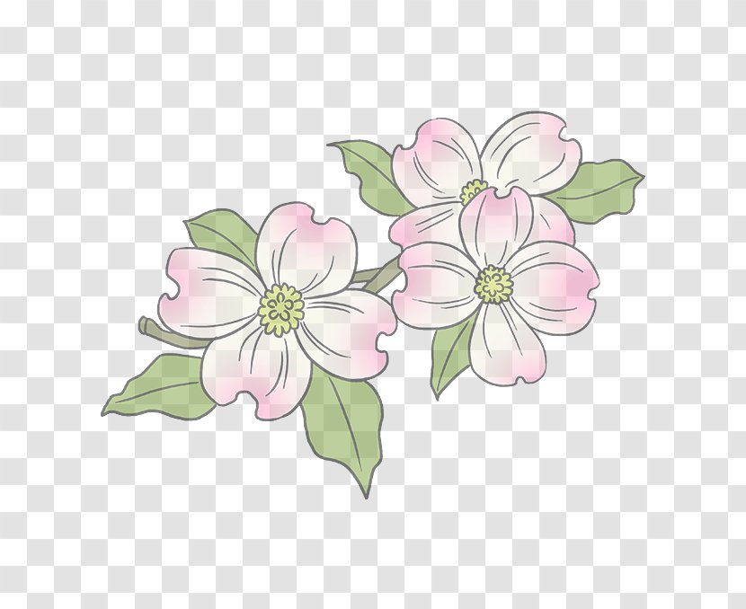 Flower Pink Petal Plant Flowering - Wildflower Blossom Transparent PNG
