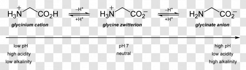 Isoelectric Point Glycine Amino Acid Glutamic Chemistry - Tree - Cartoon Transparent PNG