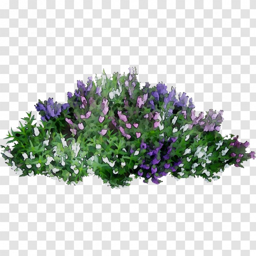 Clip Art Flower Shrub Image - Garden Transparent PNG