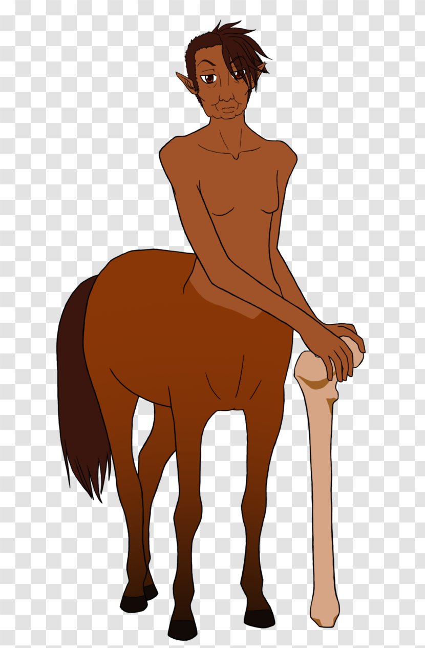 Mane Pony Mustang Stallion Colt - Silhouette Transparent PNG