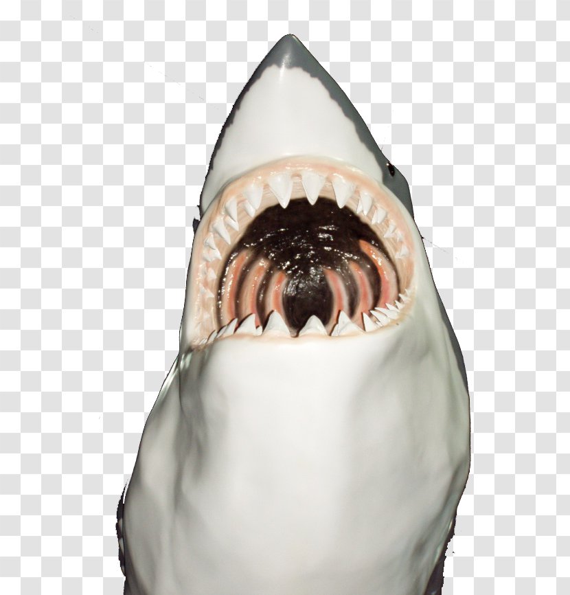 Shark Icon - Jaw - Horror Transparent PNG