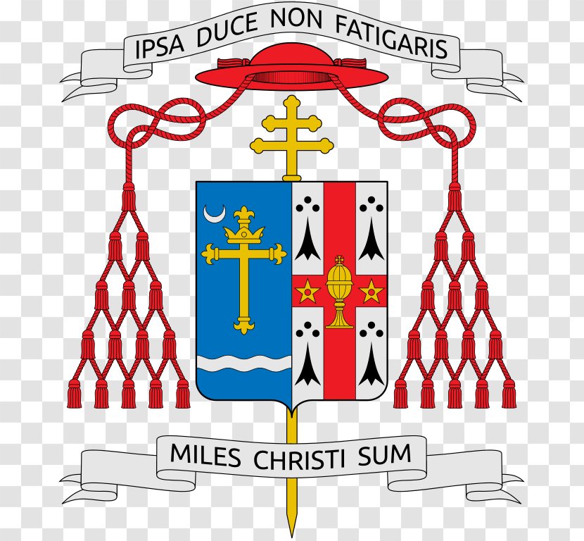 Coat Of Arms Heraldry Vatican City Cardinal Catholicism - History Transparent PNG