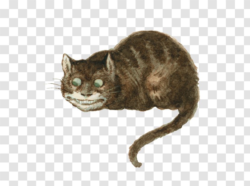 Alice's Adventures In Wonderland Cheshire Cat European Shorthair Korat - Small To Medium Sized Cats - Whiskers Transparent PNG