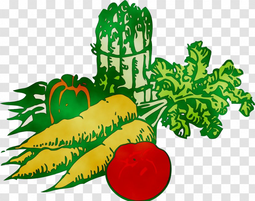 Clip Art Vegetable Openclipart Free Content - Leaf - Plant Transparent PNG