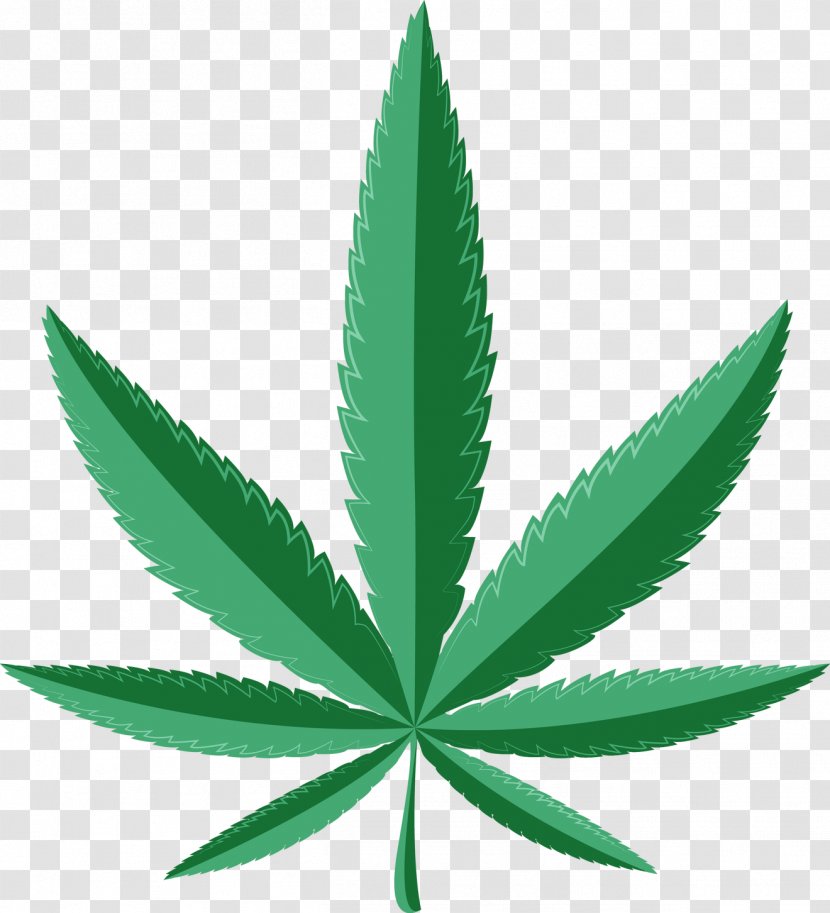 Medical Cannabis Dispensary Shop Medicine - Health - Marijuana Leaf Border Transparent PNG
