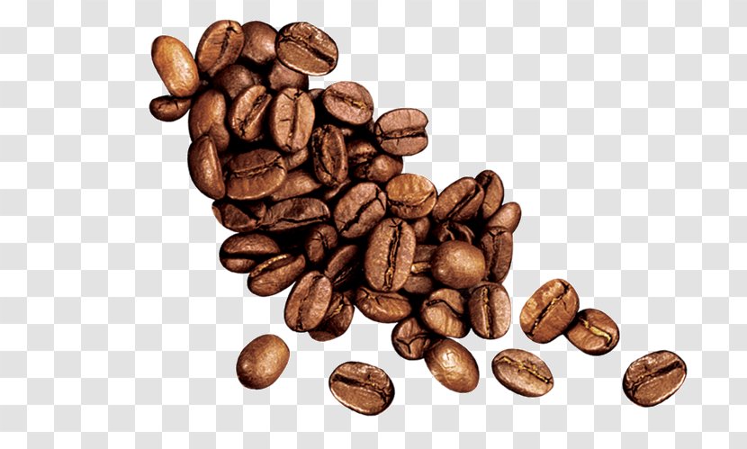 Instant Coffee Tea Cafe - Superfood - Beans Transparent PNG