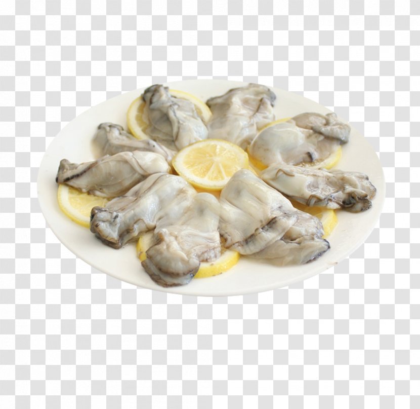 Oyster Clam Shellfish Seafood - Animal Source Foods - A Dish Of Lemon Transparent PNG