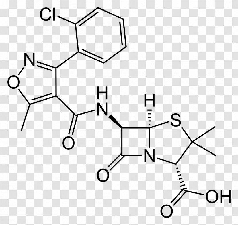 Phenoxymethylpenicillin Benzylpenicillin Ampicillin Dicloxacillin - Bigmidin Transparent PNG