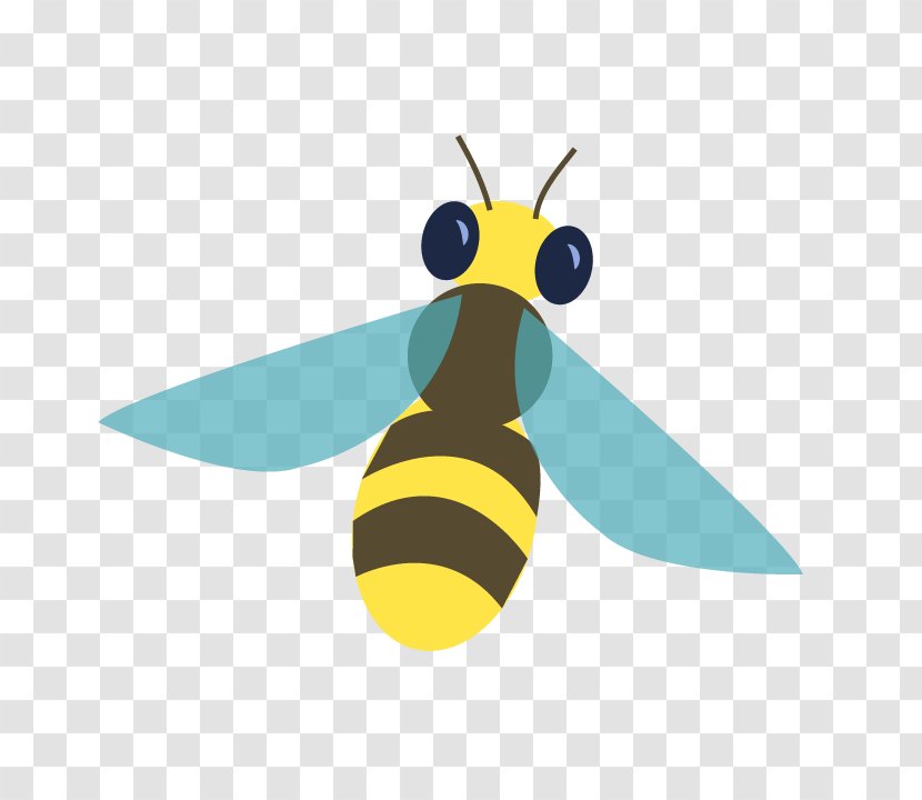 Honey Bee Clip Art - Moths And Butterflies Transparent PNG