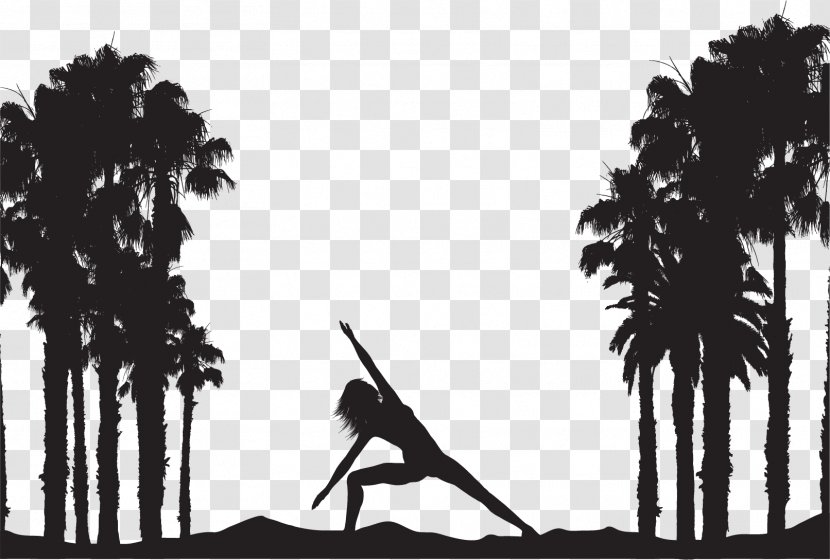 Silhouette Arecaceae Euclidean Vector Photography - Human Behavior - Yoga Silhouettes Transparent PNG