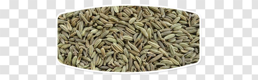 Fennel Seed Oil Food Spice - Extract Transparent PNG
