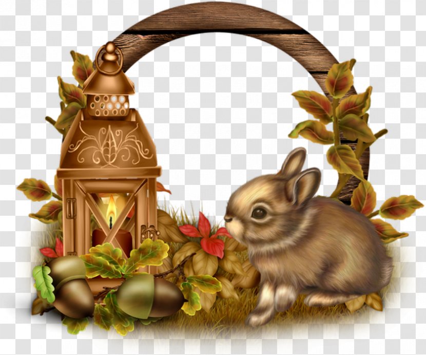 Domestic Rabbit Hare Easter Bunny - Autumn - Mid Transparent PNG