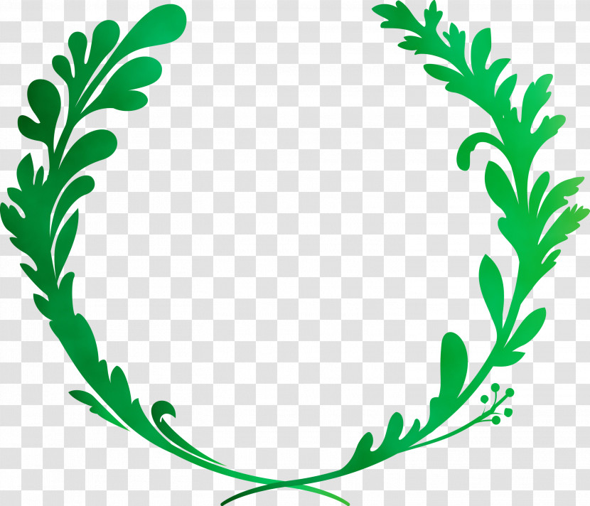 Leaf Green Plant Herbal Vascular Plant Transparent PNG