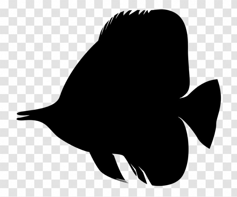 Beak Clip Art Fauna Silhouette Fish - Blackandwhite Transparent PNG