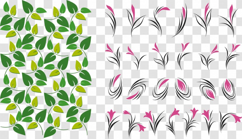 Flower Leaf - Plant - Leaves And Flowers Transparent PNG