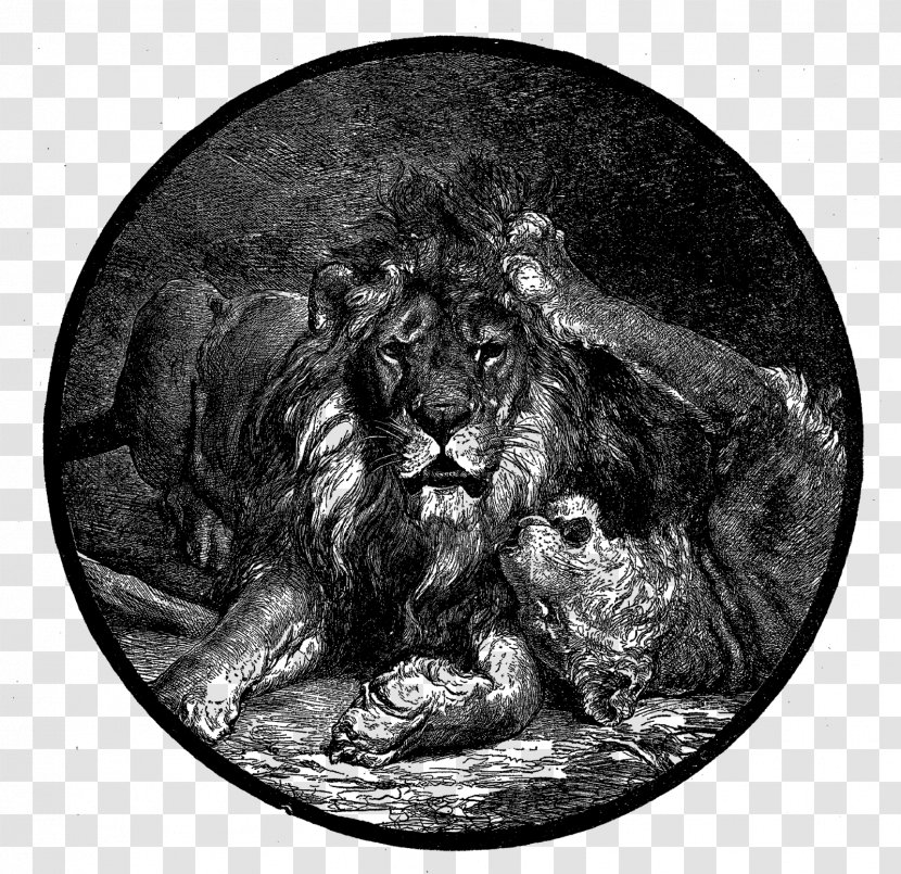 Asiatic Lion Logic Semantics Mammal ZVAB Zentrales Verzeichnis Antiquarischer Buecher - Digital Illustration Transparent PNG