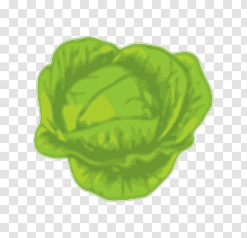Cabbage Stock Photography Vegetable Art Clip - Royalty Payment Transparent PNG