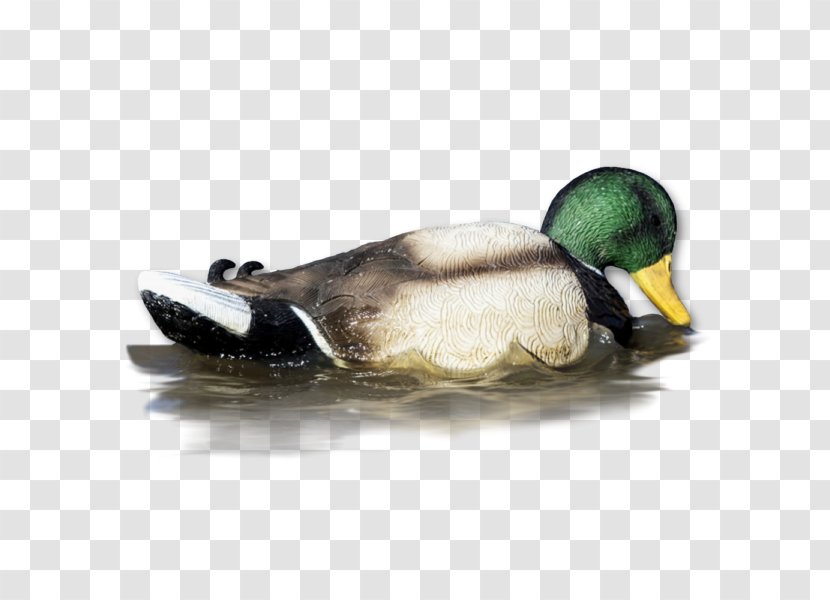 Mallard Duck Decoy Wood Transparent PNG