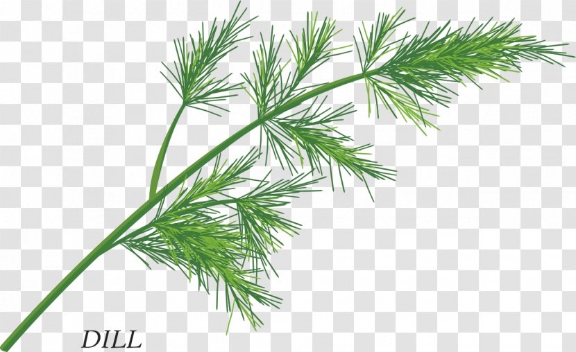 Herb Free Content Clip Art - Plant - Herbs Transparent PNG