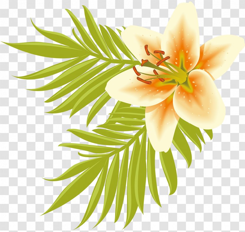 Floral Design Cut Flowers Petal - Lily Transparent PNG