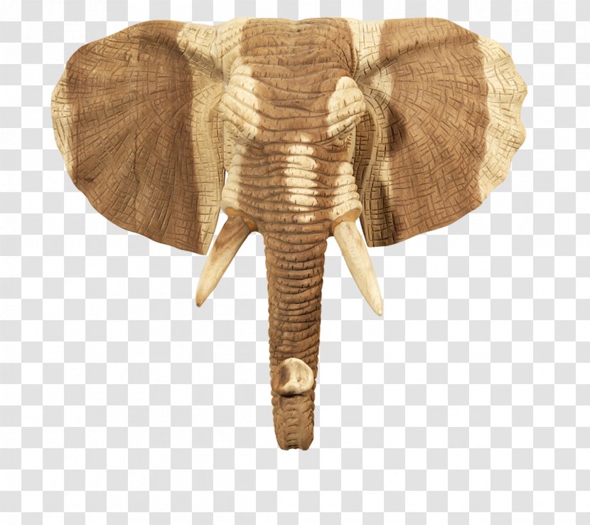 Indian Elephant African Wood Curtiss C-46 Commando Elephantidae - Animal Transparent PNG