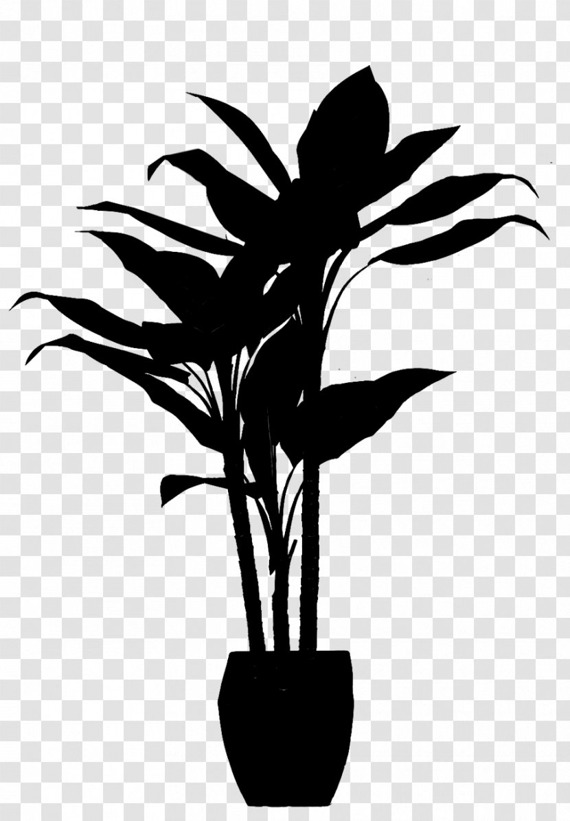 Leaf Plant Stem Flower Character Clip Art - Arecales - Botany Transparent PNG