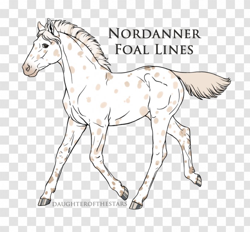 Simba Line Art Horse Pony Drawing - Like Mammal - Saved By The Bell Transparent PNG