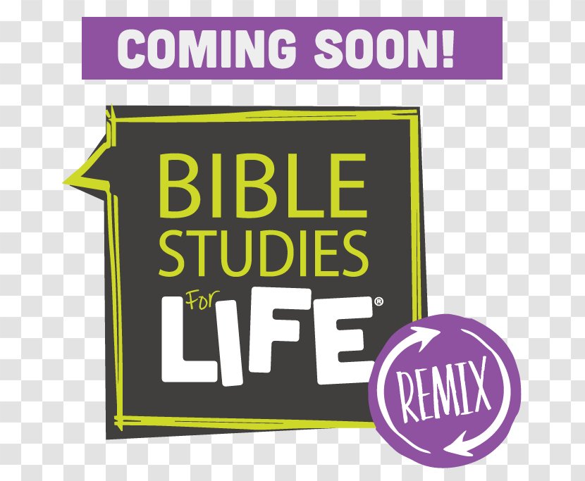 Bible Study LifeWay Christian Resources Child God's Word Translation - Christianity Transparent PNG