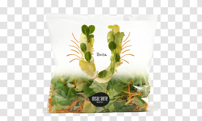 Herb Organic Food Crisp Vegetable Packaging And Labeling - Chopped Vegetables Transparent PNG