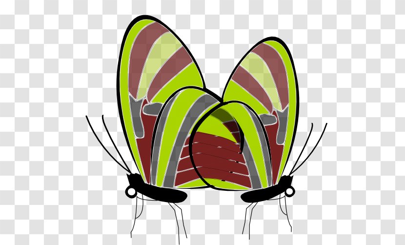 Monarch Butterfly Insect Brush-footed Butterflies Clip Art Transparent PNG