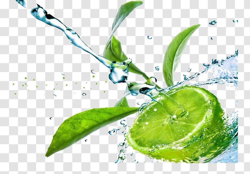 Lemon Juice Limeade Water - Food Transparent PNG