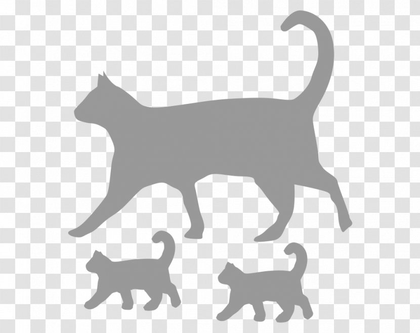 Kitten Whiskers Domestic Short-haired Cat Dog - Black Transparent PNG