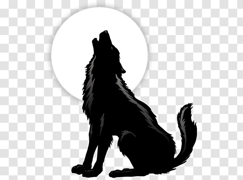 Border Collie - Animal - Tail Hovawart Transparent PNG