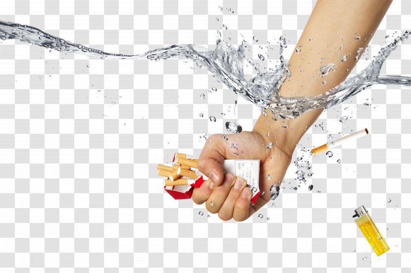 Abstain From Smoking Water Creatives - Watercolor - Tree Transparent PNG