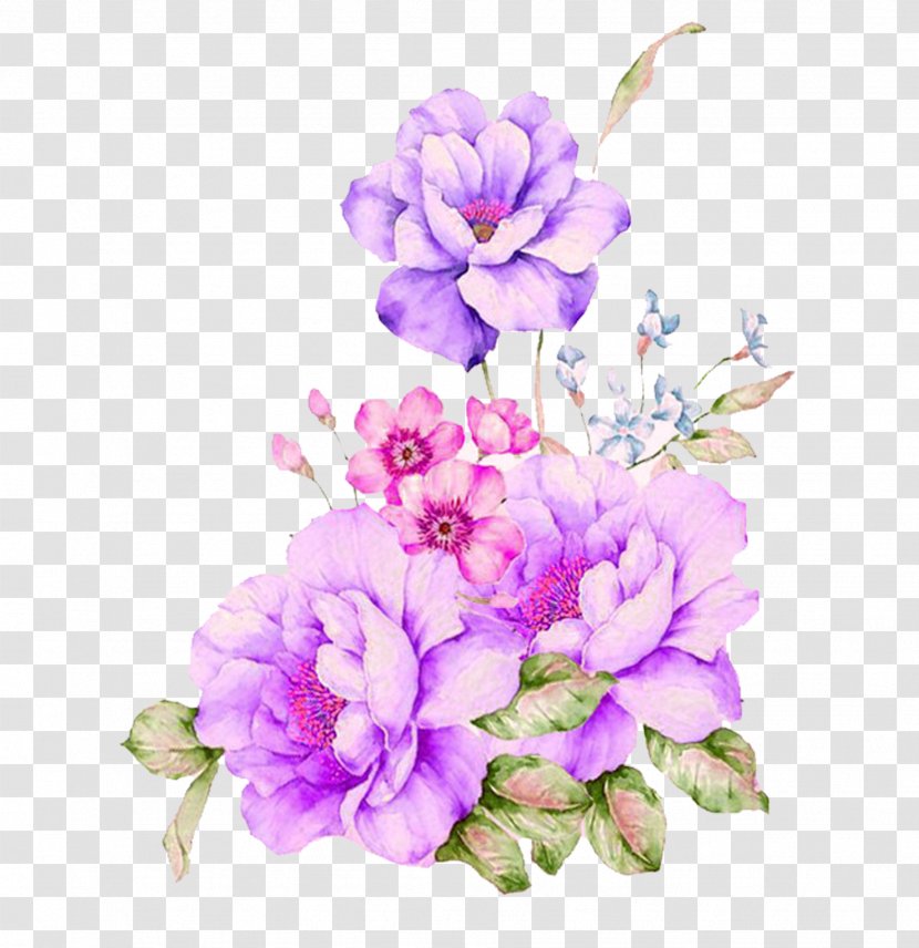Watercolour Flowers Watercolor Painting - Herbaceous Plant - Purple Dream Decorative Patterns Transparent PNG