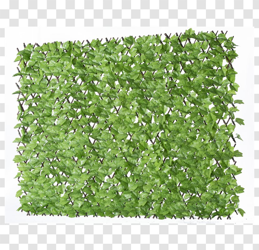 Herb Shrub Groundcover Lawn - Plant - Trellis Transparent PNG