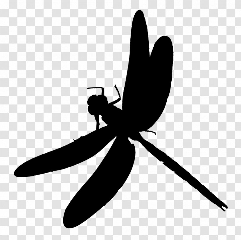 Insect Clip Art Silhouette Pollinator Dragonfly - Blackandwhite Transparent PNG