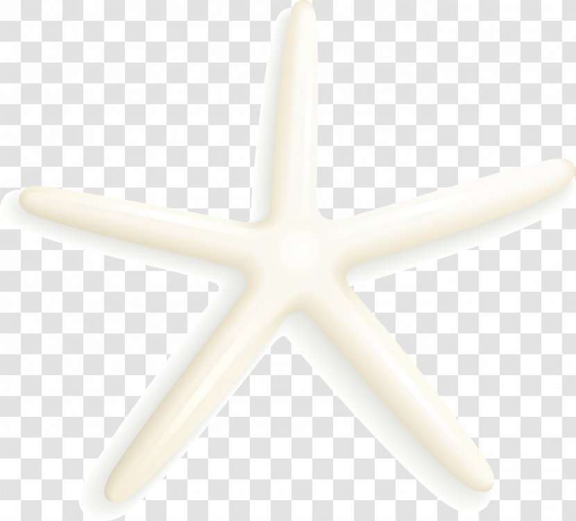 Starfish Angle Cadmium Pigments - Marine Invertebrates - White Transparent PNG