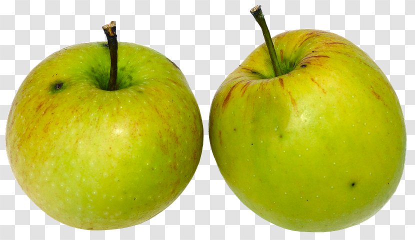 Paradise Apple Pome Fruit Granny Smith - Vegetable Transparent PNG