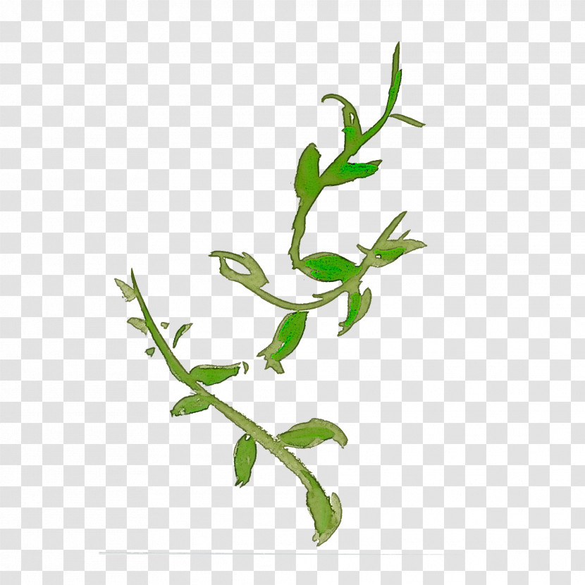 Flower Plant Leaf Branch Plant Stem Transparent PNG