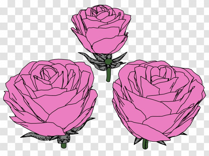 Garden Roses Cabbage Rose Illustration Clip Art Petal - Flowering Plant - Springflowering Transparent PNG