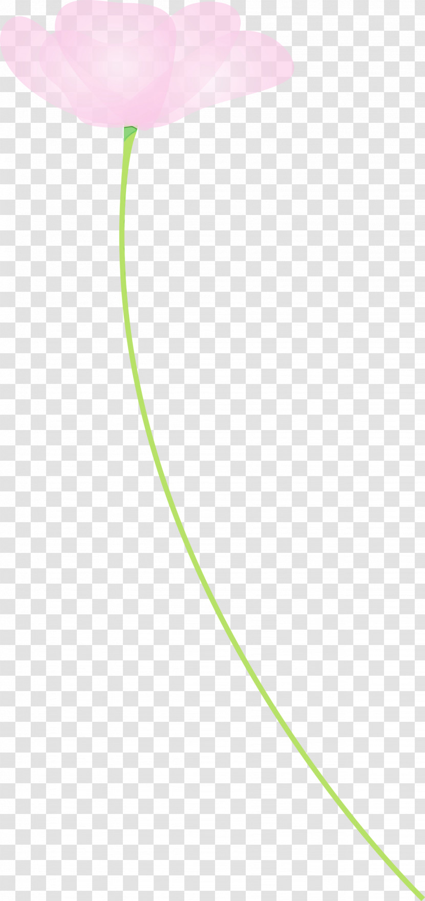 Green Line Circle Transparent PNG